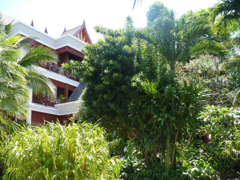 Blick vom Garten Ban's Diving Resort