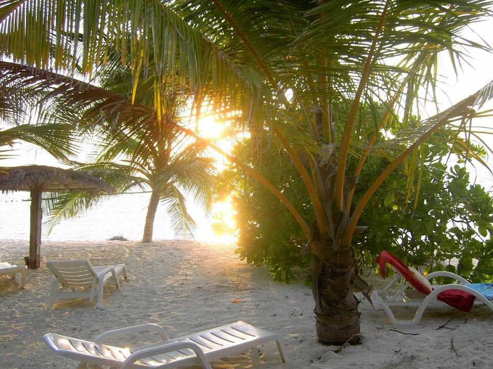 April 2009 Summer Island Maldives