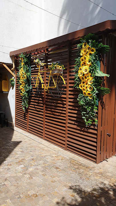 Gartenanlage Hane Family Resort