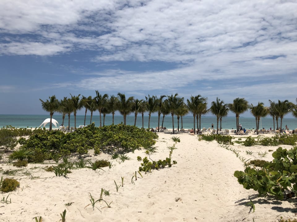 Strand Hotel Riu Dunamar