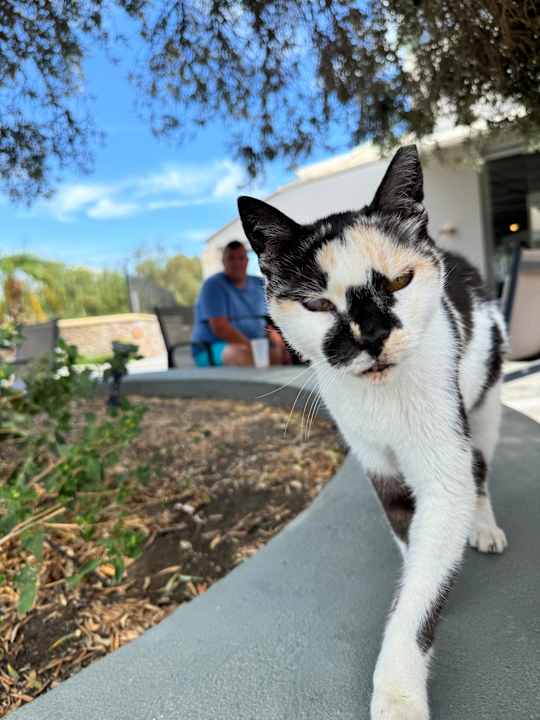Sonstiges Atlantica Mikri Poli Rhodes