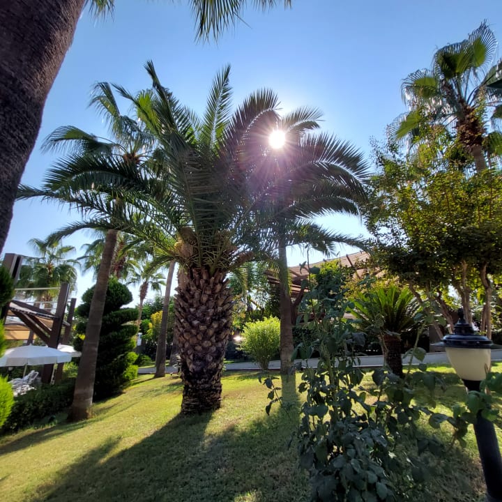 Gartenanlage Aydinbey Kings Palace & Spa