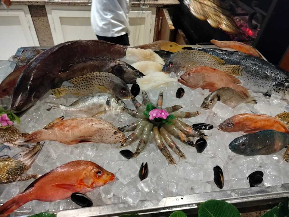 Gastro JAZ Elite Casa del Mar Beach