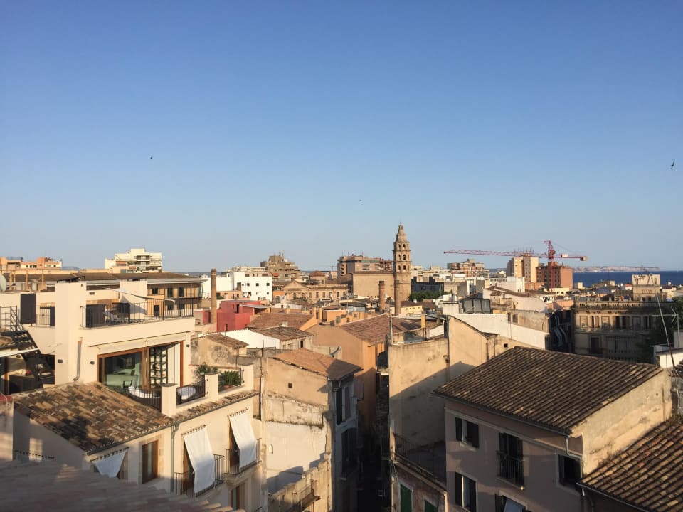 Dachterrasse Hotel Palma Suites