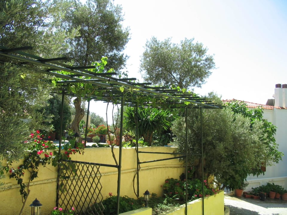 Weinreben Hotel Limnionas Bay Village