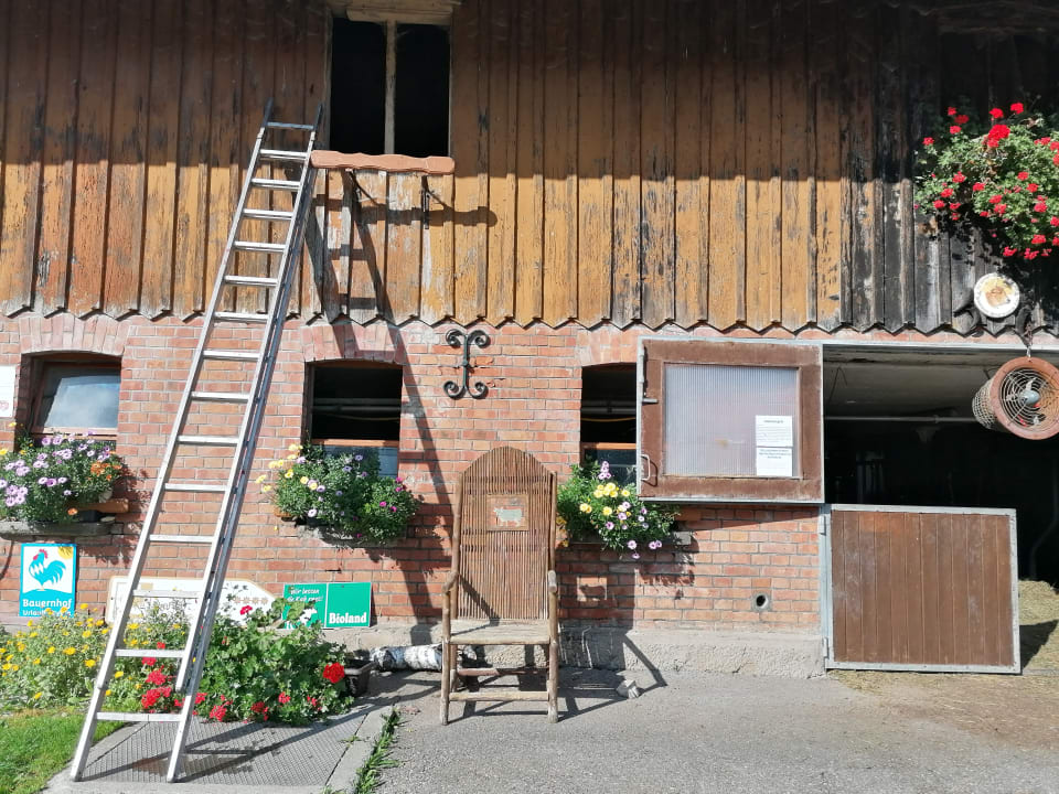 Sonstiges Biohof Schad