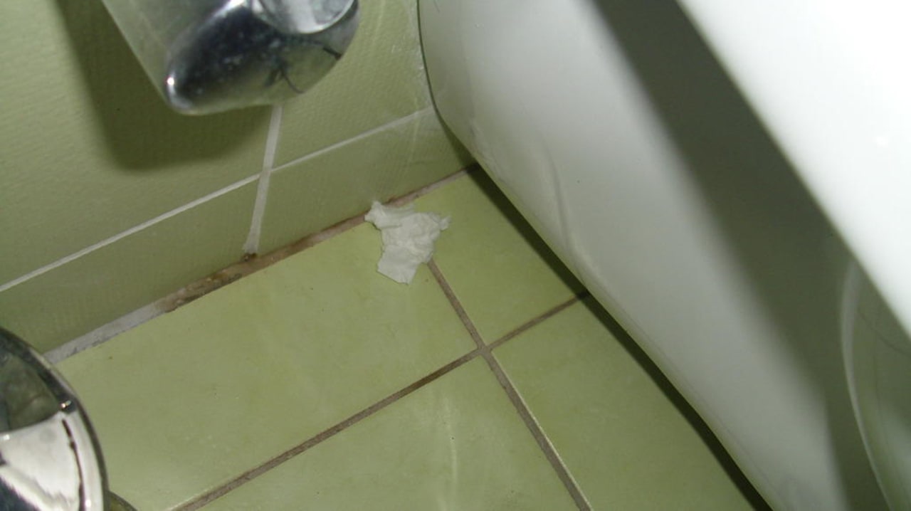 Schimmel im Bad und Toilettenpapier vom Vorgänger Hotel Orfeus Park