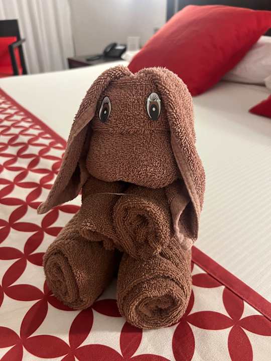 Zimmer Hotel Riu Tequila