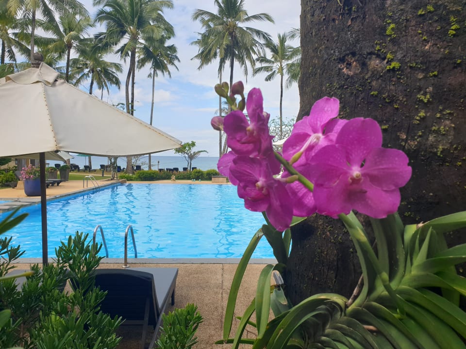 Pool Hotel Nang Thong Beach Resort 2