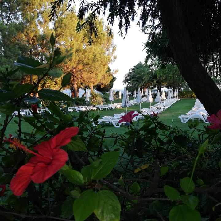 Gartenanlage PortoBay Falésia