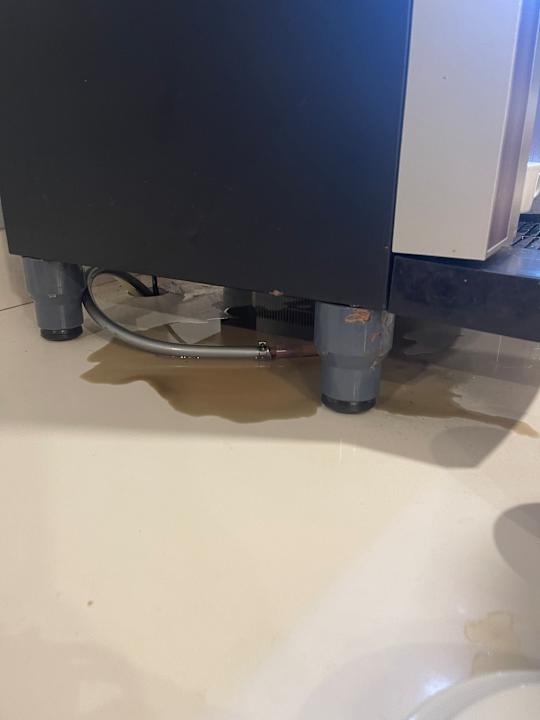 Zimmer BelleVue Club