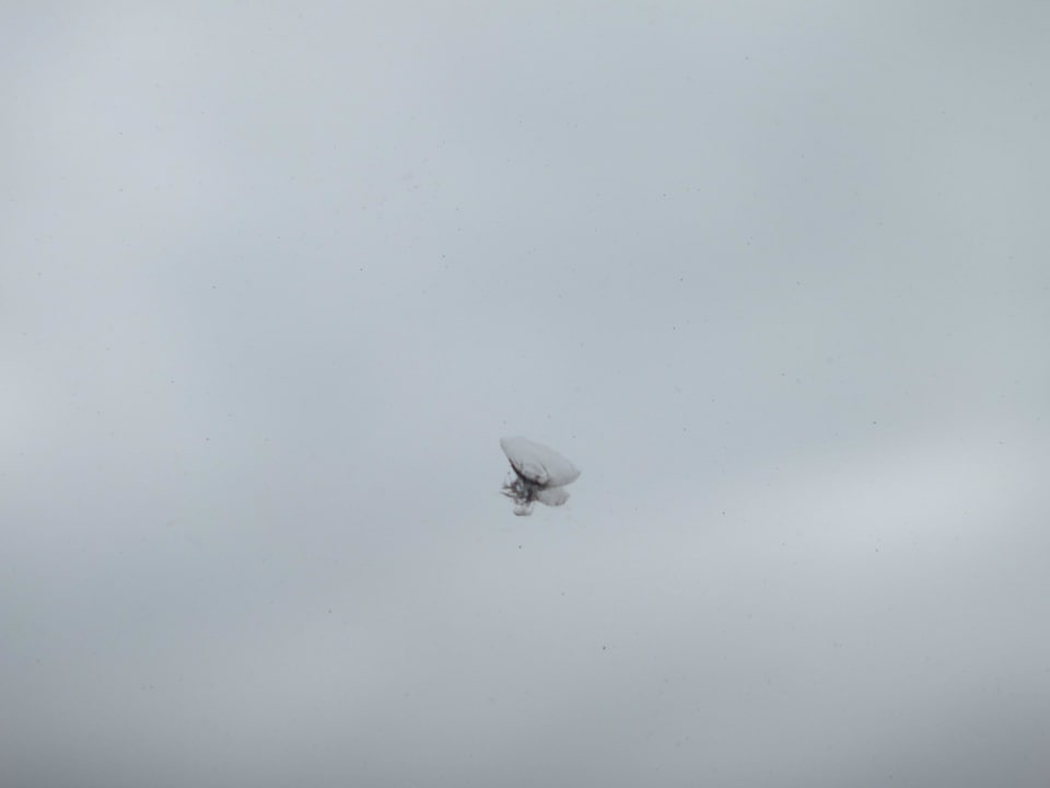 Steinschlag in der Scheibe im 5. Stock Hotel Holiday Inn London Wembley