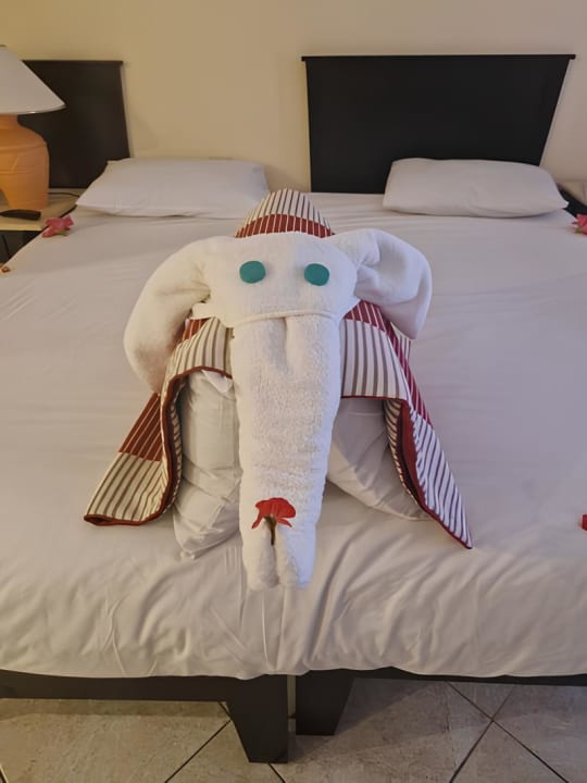 Zimmer Casa Mare Resort