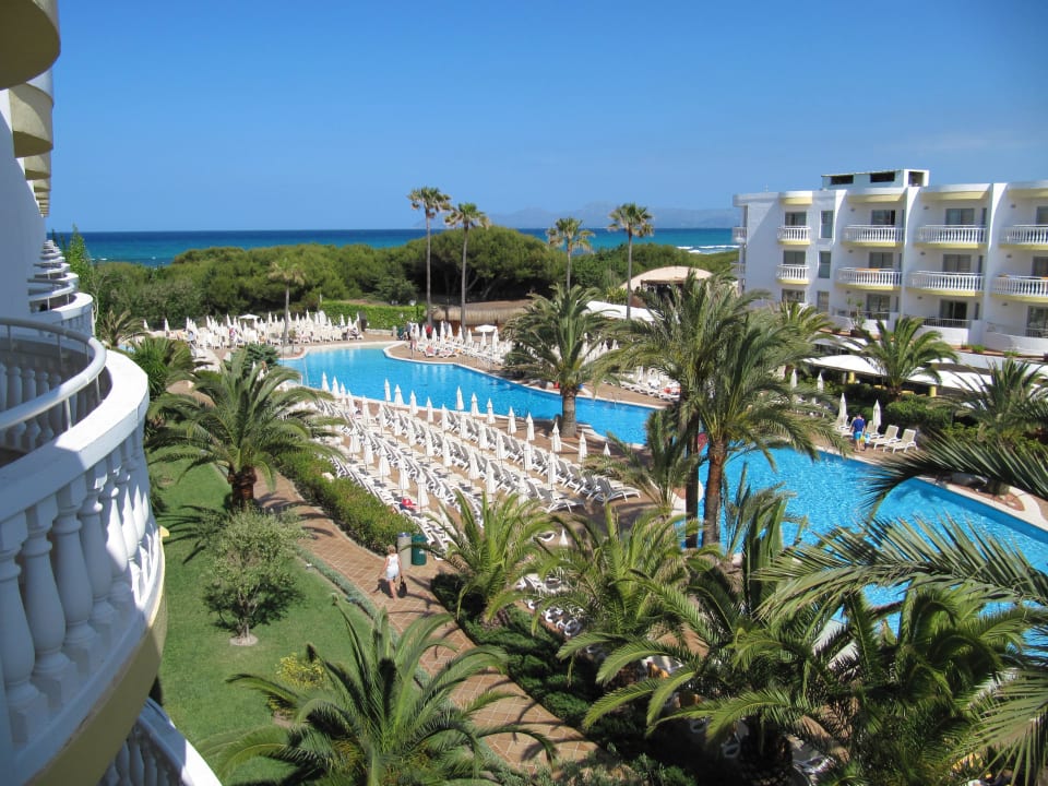 Schöne Aussicht auf Pool und Meer Iberostar Selection Albufera Park