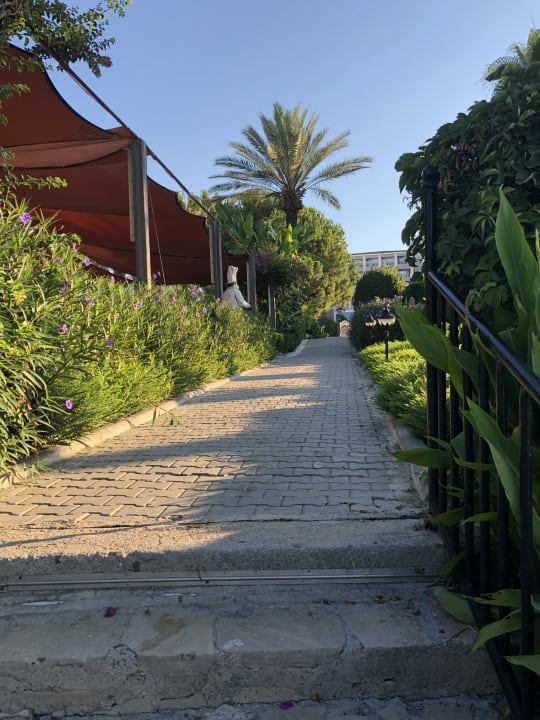 Gartenanlage Hotel Terrace Beach Resort
