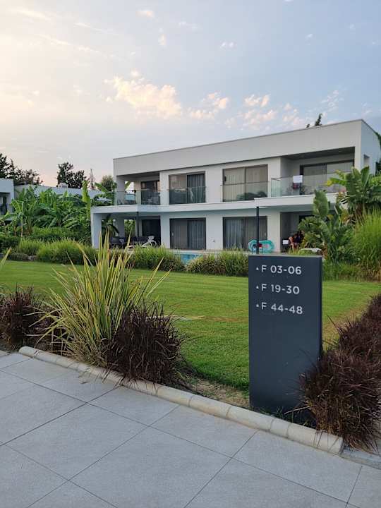 Zimmer Paloma Finesse