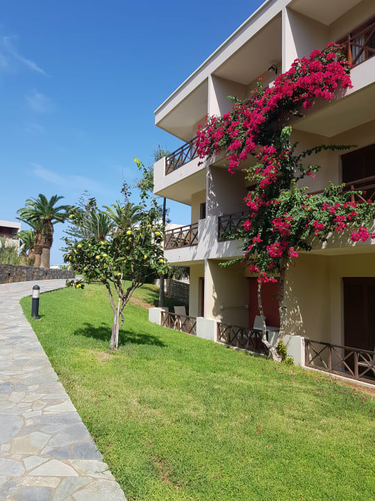 Gartenanlage allsun Hotel Malia Beach