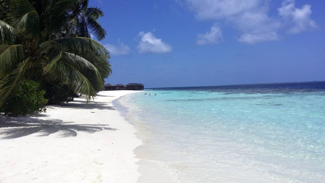 Strand ab Bungalow ca. 185 Vilamendhoo Island Resort & Spa