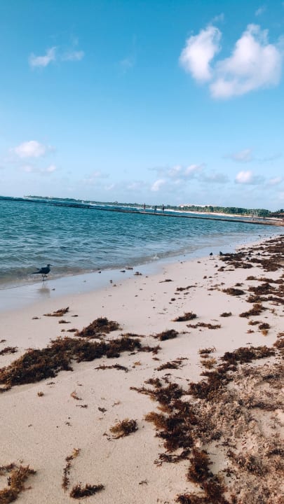 Strand El Dorado Royale