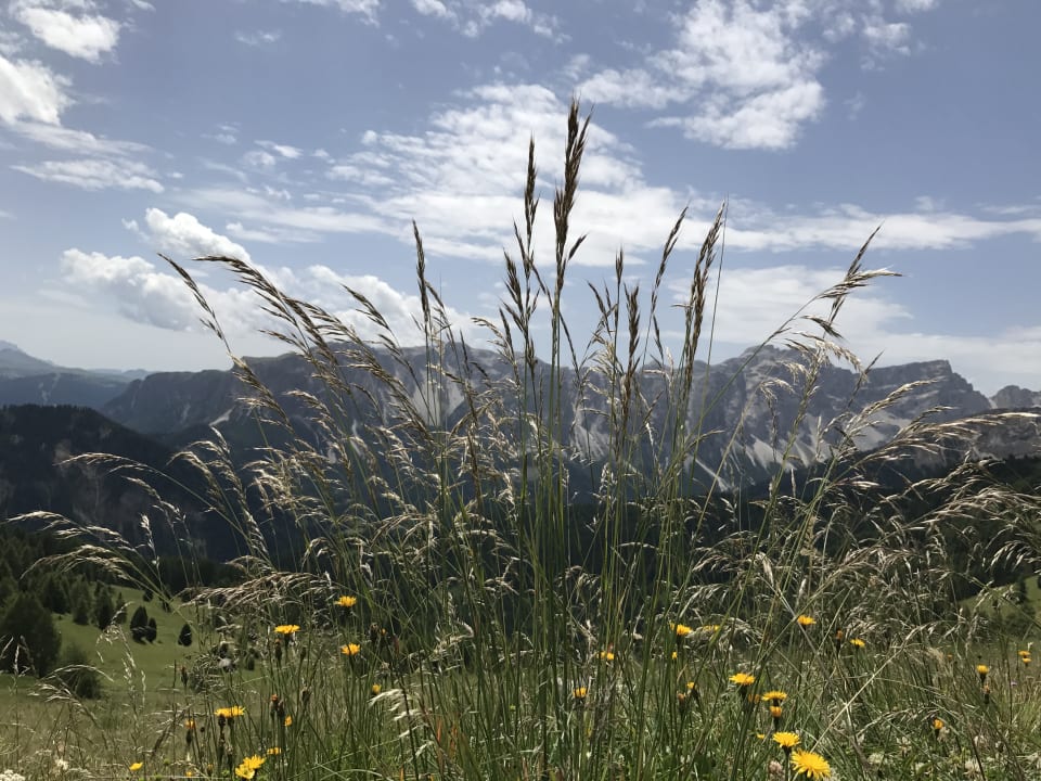 Ausblick Excelsior Dolomites Life Resort