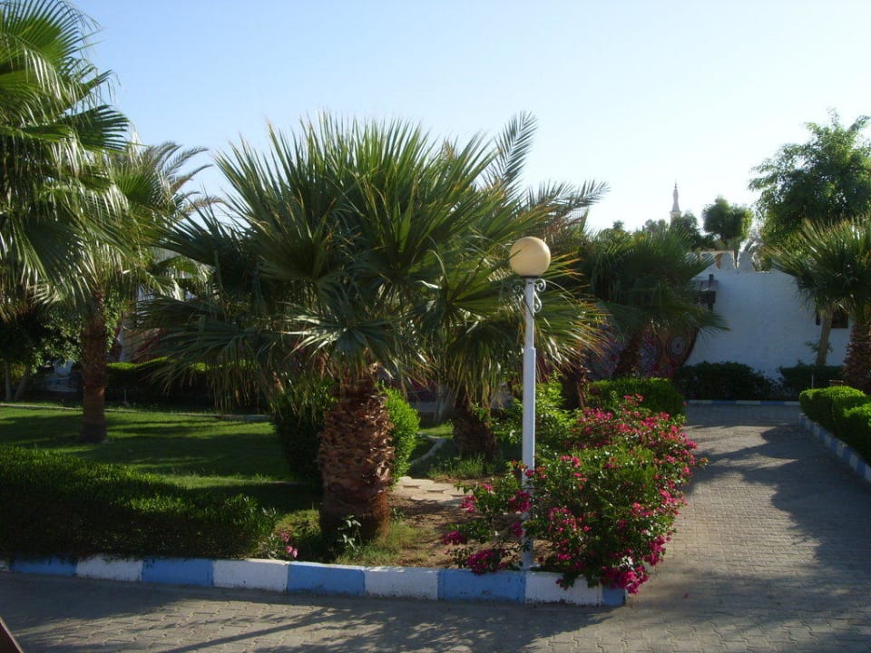 Sauber und schön Albatros Sharm Resort