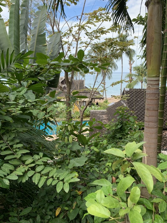 Gartenanlage Moracea by Khao Lak Resort