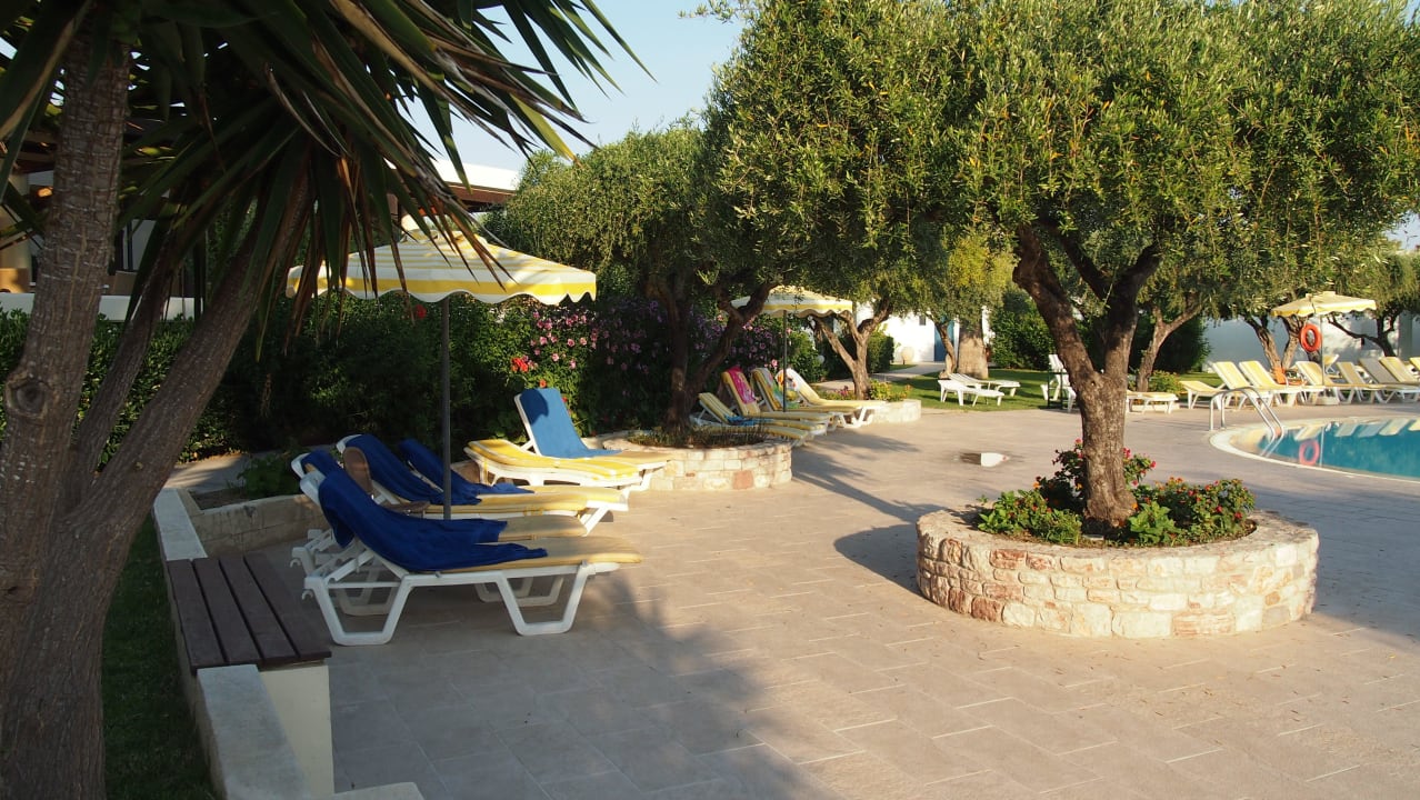 Leżaki przed basenem TUI KIDS CLUB Alex Beach