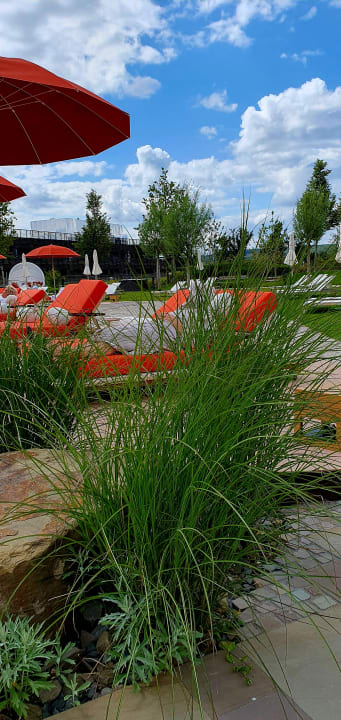 Gartenanlage Seezeitlodge Hotel & Spa