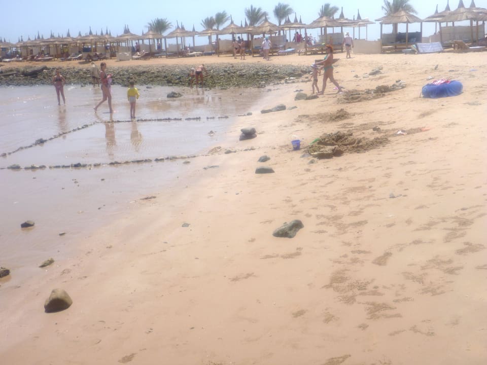 Strand am Albatros Palace Beach Albatros Resort