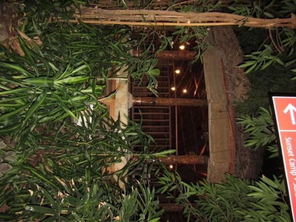 Lagoon Bar Tropical Islands Resort