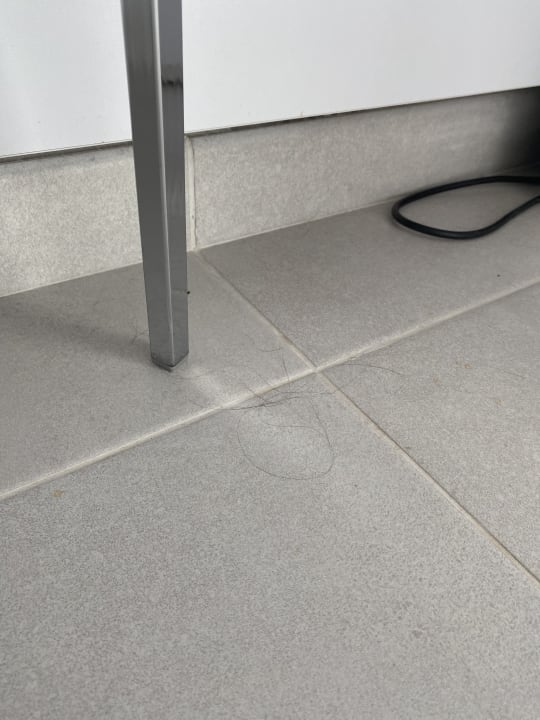 Zimmer Reverence Life  - Adults only