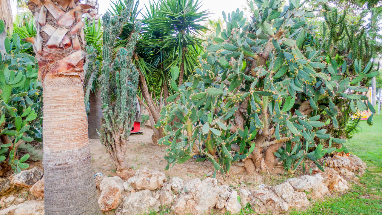 Gartenanlage Arycanda Kirman Premium