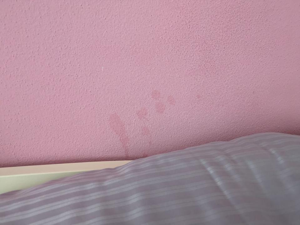 Zimmer Pension Jägerwinkl