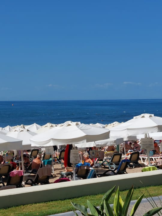 Strand Side Star Elegance