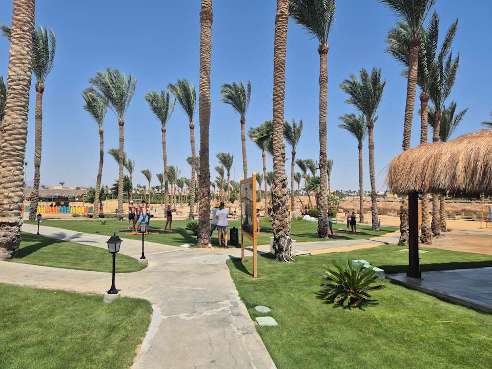 Sport & Freizeit Jaz Solaya