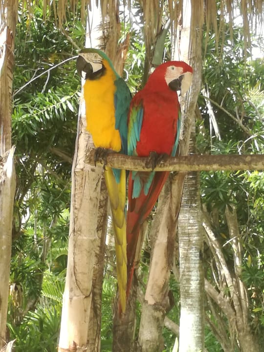 Sonstiges Grand Palladium Punta Cana Resort & Spa