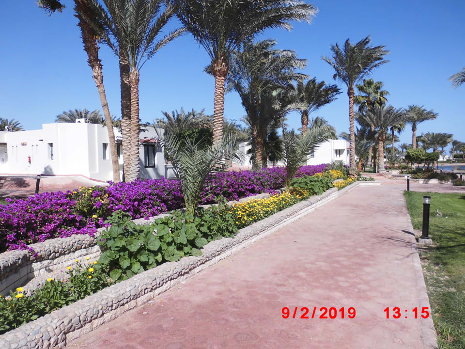 Garten Pharaoh Azur Resort