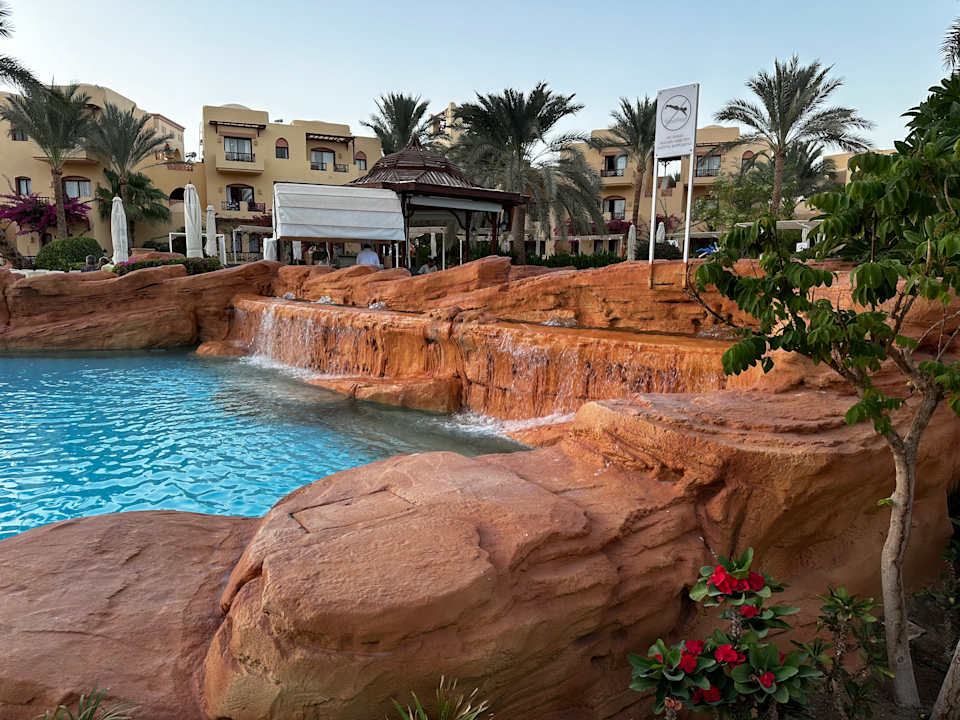 Pool Steigenberger Coraya Beach - Adults only