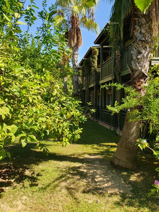 Gartenanlage Paloma Oceana