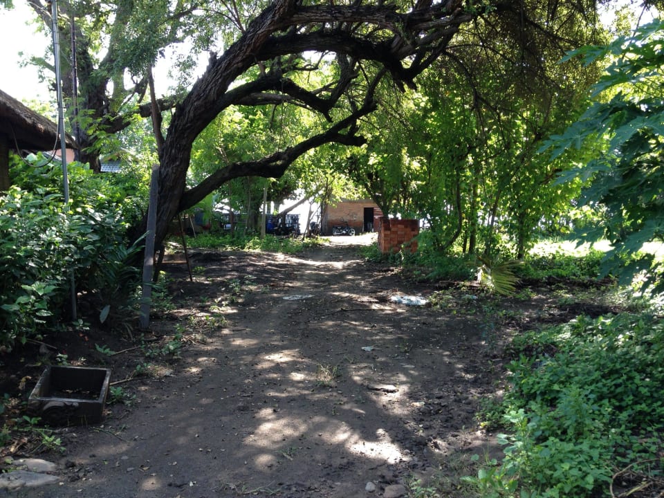 Weg zum Strand Tirtasari Bungalows