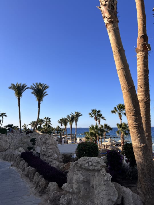 Außenansicht Pickalbatros Citadel Resort