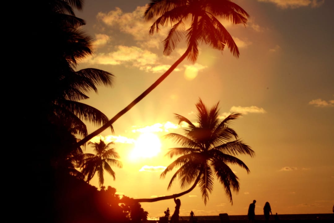 Jeden Abend Sonnenuntergang Fihalhohi Maldives
