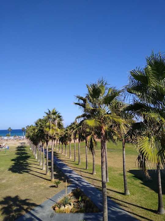 Strand Delfina Tropic Beach