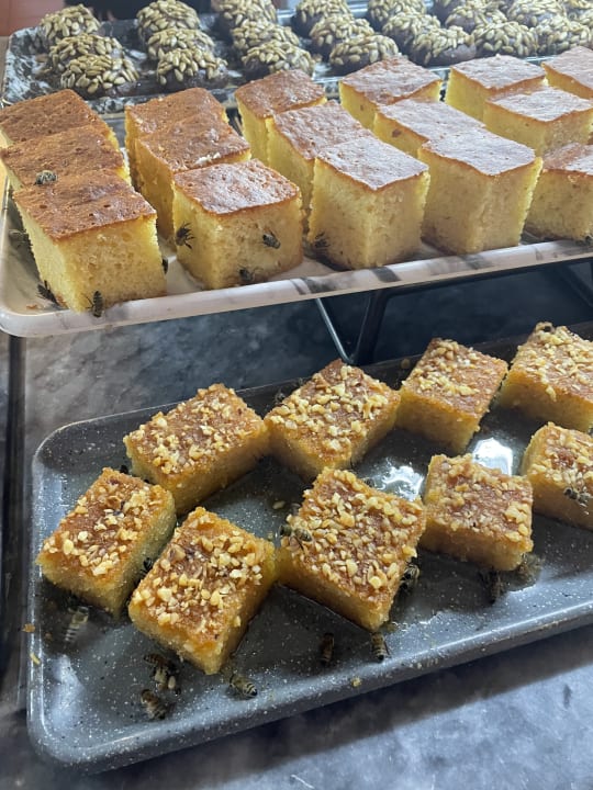 Gastro Hotel Pine Bay Holiday Resort