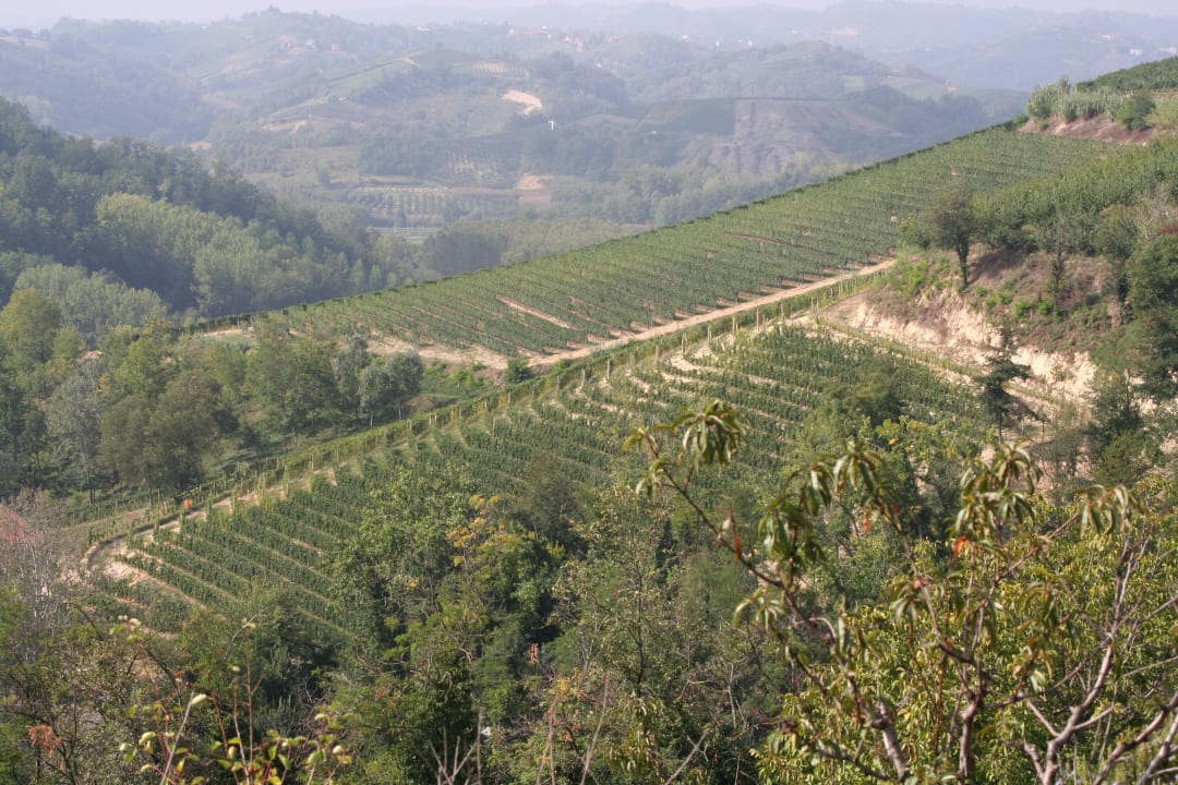 Panorama Agriturismo Le Querce del Vareglio