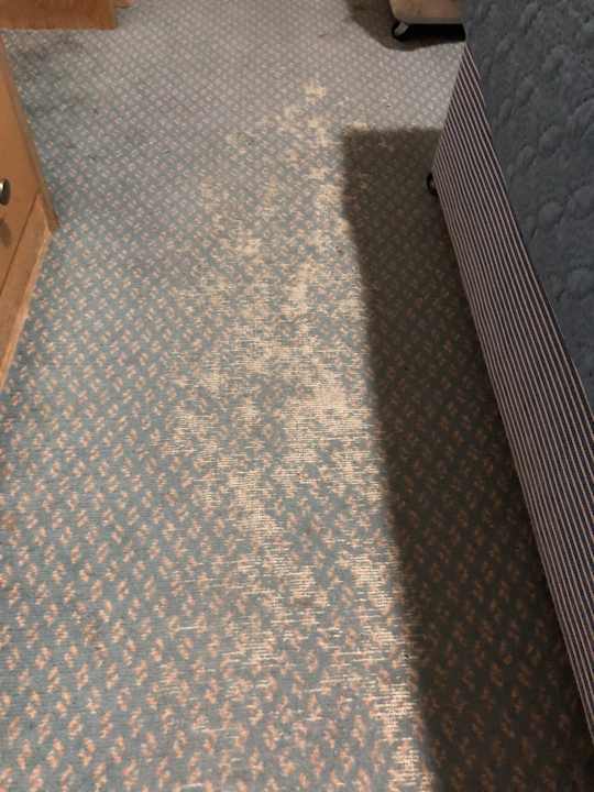 Zimmer Hotel Norfolk Plaza