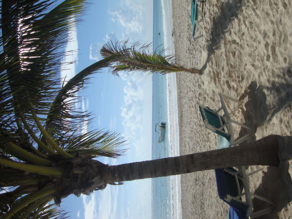 Hotel Catalonia Playa Maroma Catalonia Playa Maroma