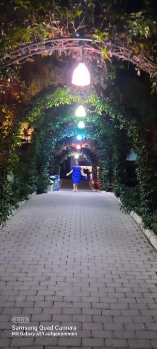 Gartenanlage Dream World Hill Hotel
