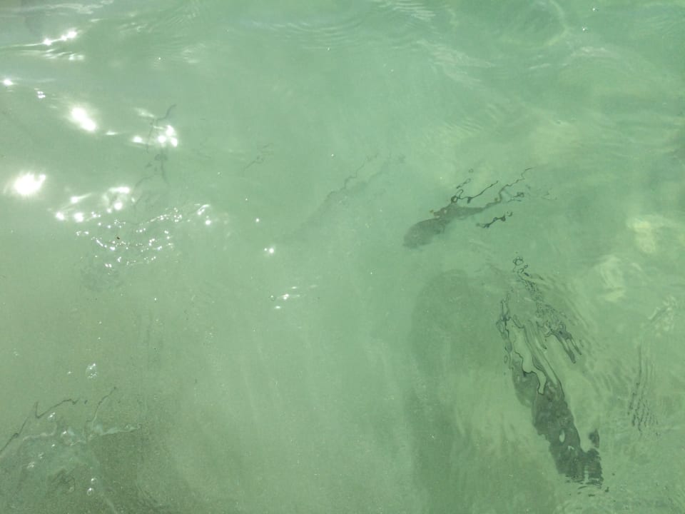 Strand Secrets Akumal Riviera Maya - Adults only