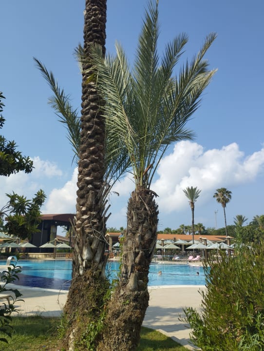Pool Belconti Resort Hotel